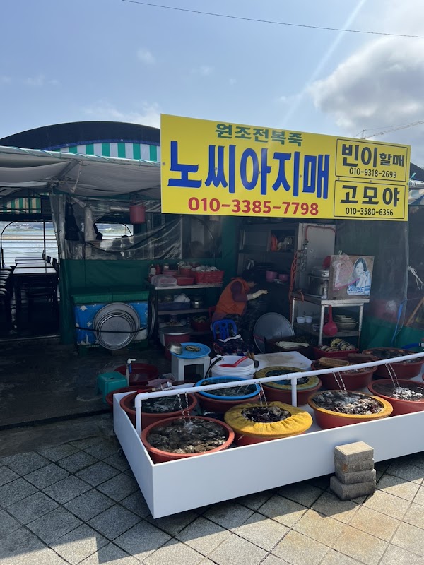 노씨아지매