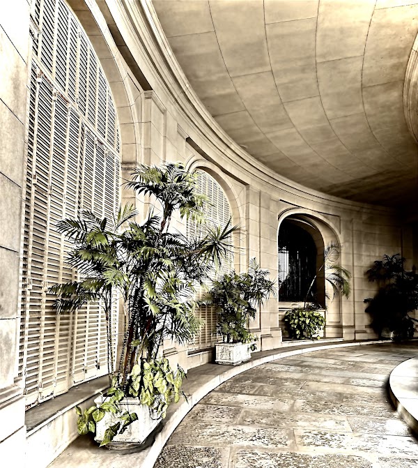 Avenida Alvear 3