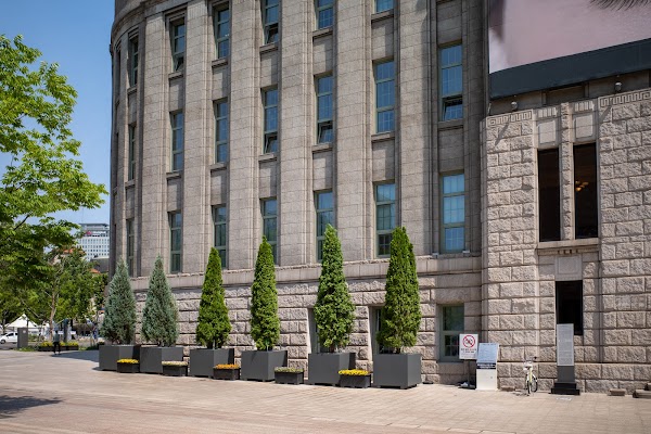 Seoul Metropolitan Library (Old Seoul City Hall) 4