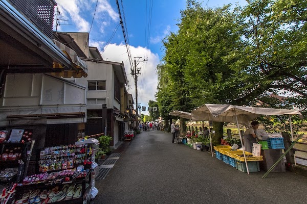 Miyagawa Morning Markets 5