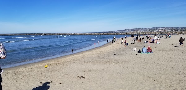Dog Beach 1