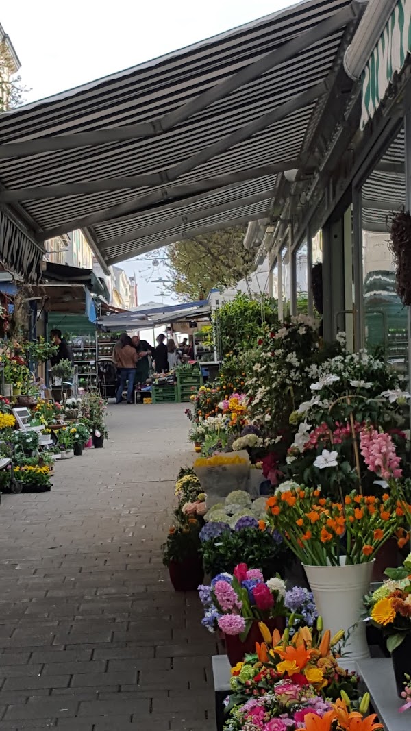 Kutschkermarkt 4