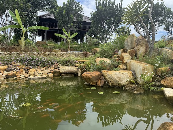 H Farm Đà Nẵng 3