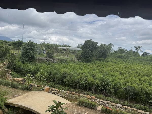 H Farm Đà Nẵng 2