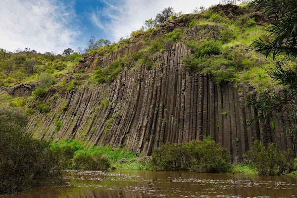 Organ Pipes National Park 4