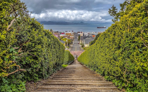 Pigeon Steps