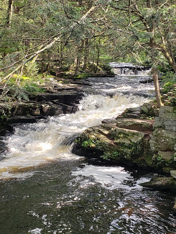 Hikes