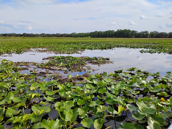 Boggy Creek Airboat Adventures 1