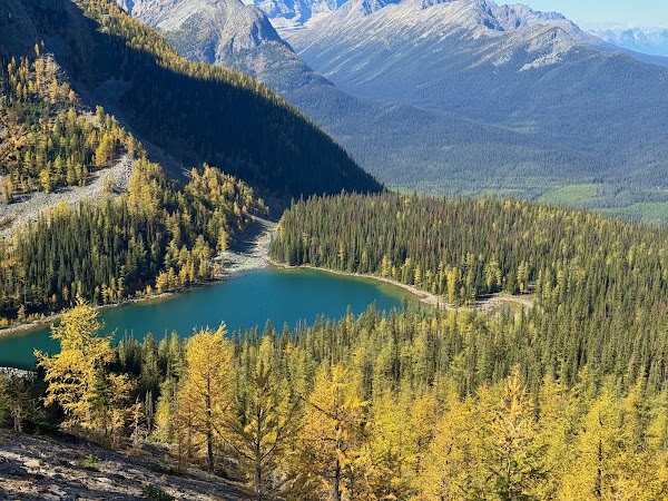 Arnica Lake