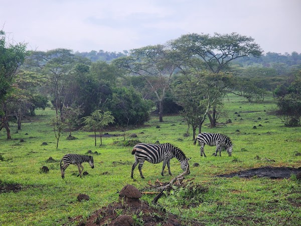 Lake Mburo National Park
