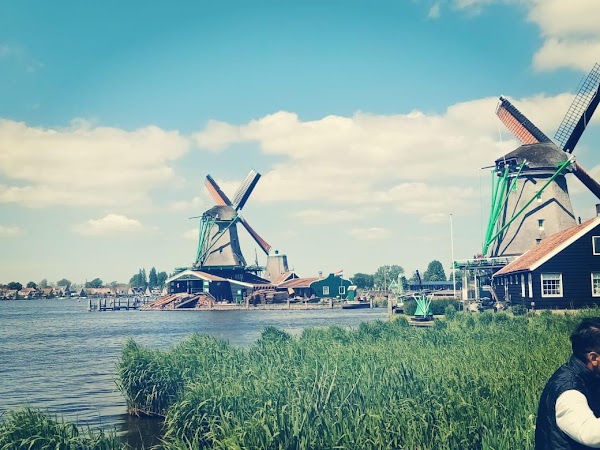 Zaandam 3