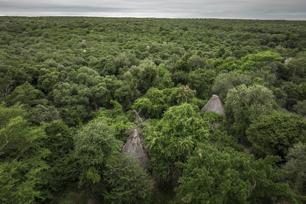 Mkhaya Game Reserve 1