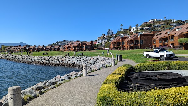 Tiburon 1