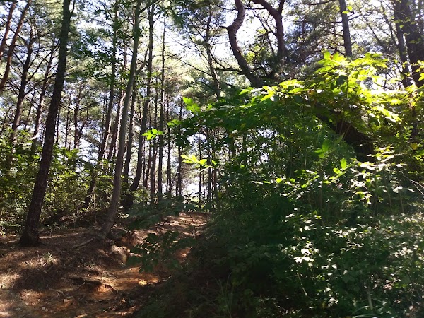 Munsusan 3