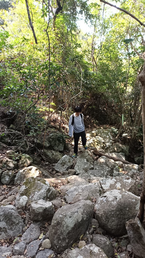 Wong Lung Hang Road 1
