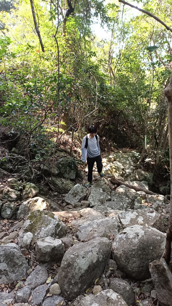 Wong Lung Hang Road 5