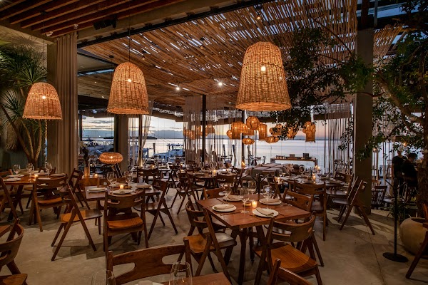 Taboo | Mediterranean Restaurant in Cancun