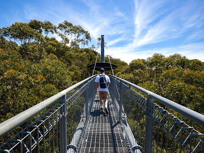 Illawarra Fly Treetop Adventures