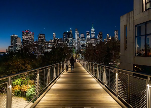 Squibb Park Bridge 1