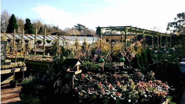 Smeaton Nursery Gardens 1