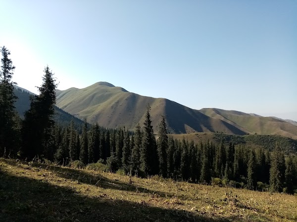 Shamshy Nature Reserve