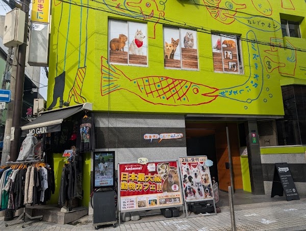 Japan 6