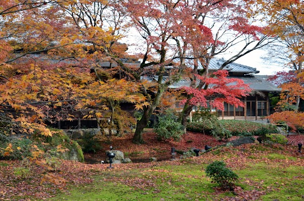Shishiku Garden 5