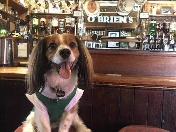 O'Briens 1