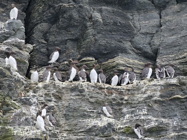 Wringcliff Beach 3