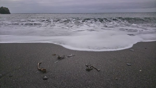 Wringcliff Beach 2