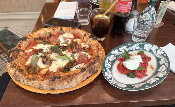Splendido 3