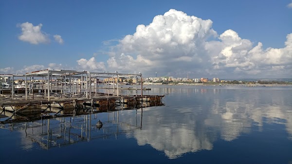Taranto 2