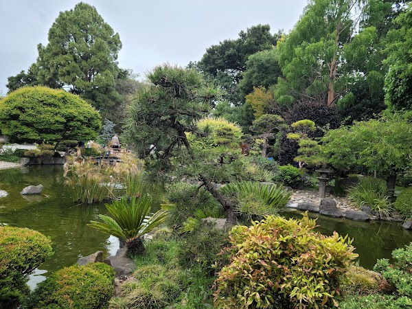 San Mateo Japanese Garden 1