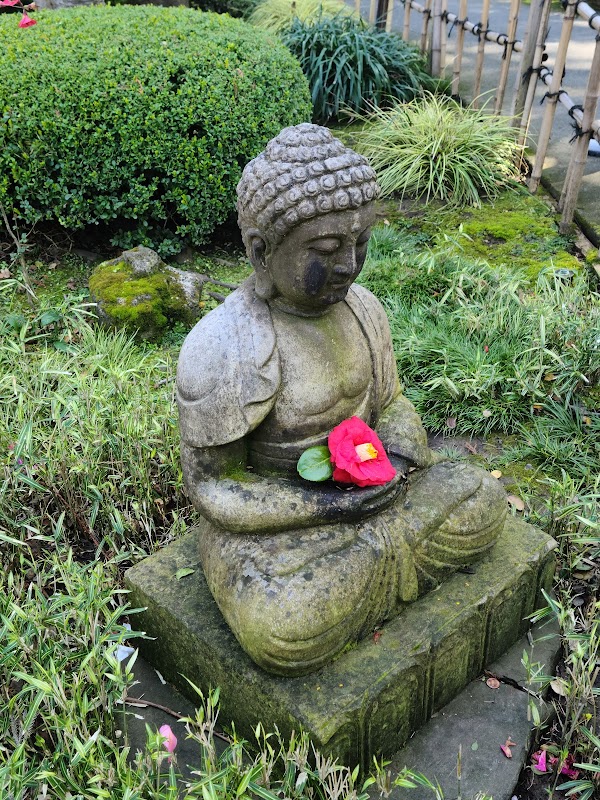 San Mateo Japanese Garden 3