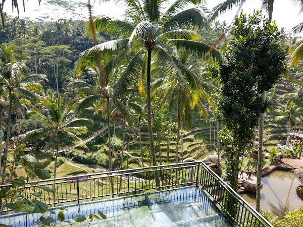 Alas Harum Bali 6