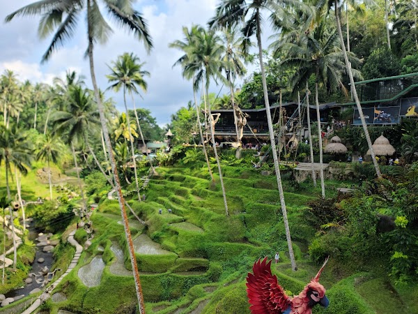 Alas Harum Bali 5