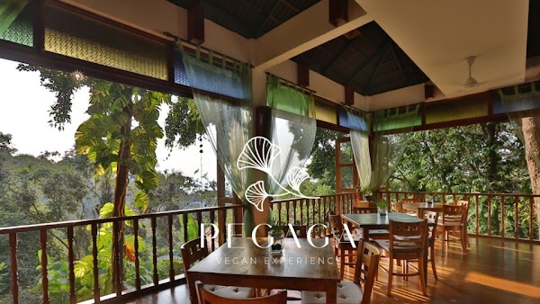 Pegaga Langkawi Vegan Experience