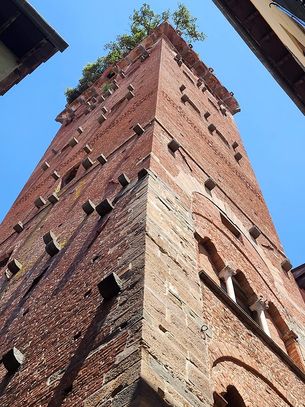 Guinigi Tower 5