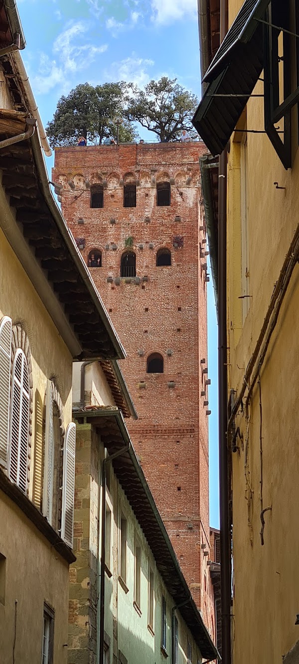 Guinigi Tower 4
