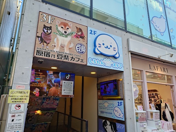 Harajuku Mame Shiba Cafe
