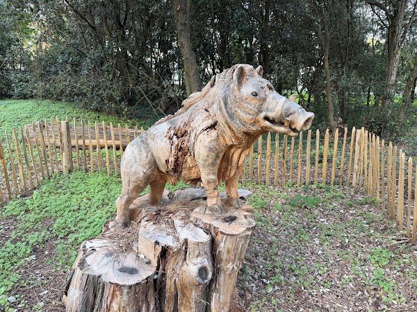 Parc du Chevreuil 1