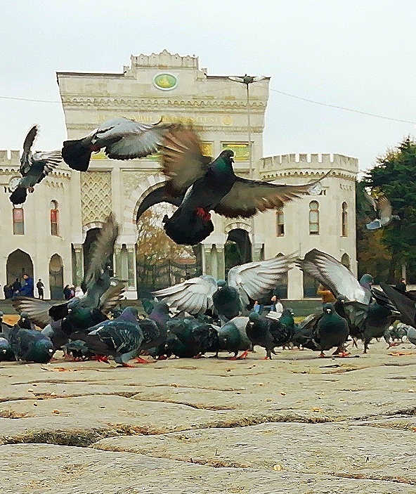 Beyazit Square 5
