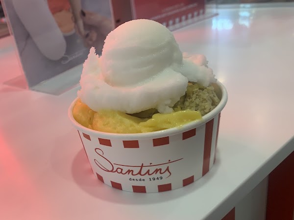 Santini Gelados Artesanais - Via Catarina Shopping