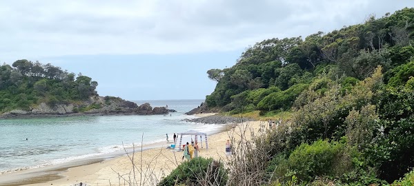 Seal Rocks 2