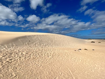 Dunas de Corralejo