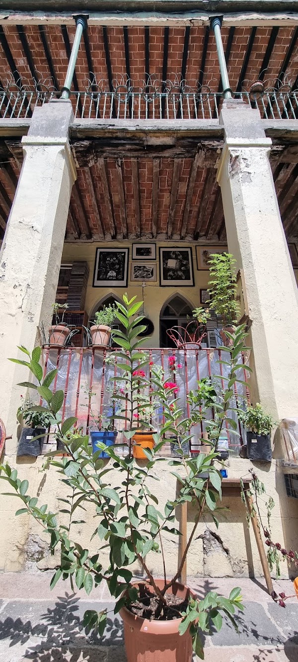 Librería Niña Oscura