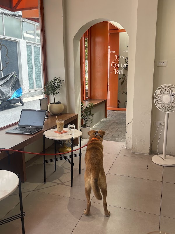 The Orange Ball - Coffee Thao Dien 2