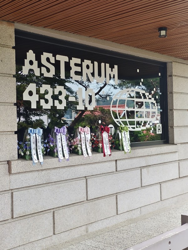 ASTERUM 433-10