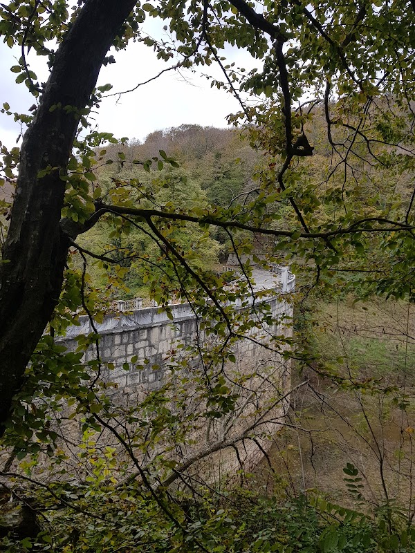 Belgrad Ormanı