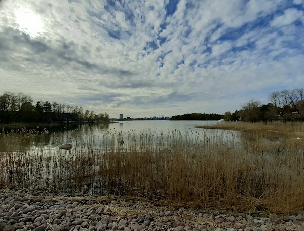 Mustasaari 4